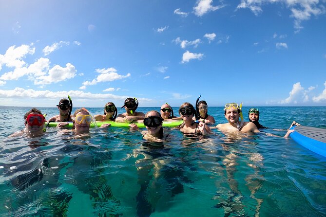 Snorkeling Adventure in Aguadilla - What you may see below the surface