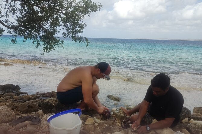 Snorkeling and Grilling Fresh Fish at Donkey Beach - Safety, comfort, and what to pack