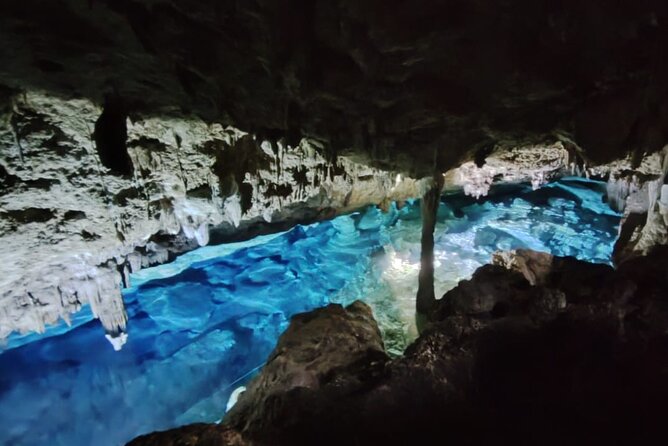Snorkeling in the Cenotes of Bayahibe - Why this cenote trip feels different from a standard beach excursion