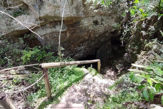 Snorkeling in the Cenotes of Bayahibe - Is $55 a fair price?