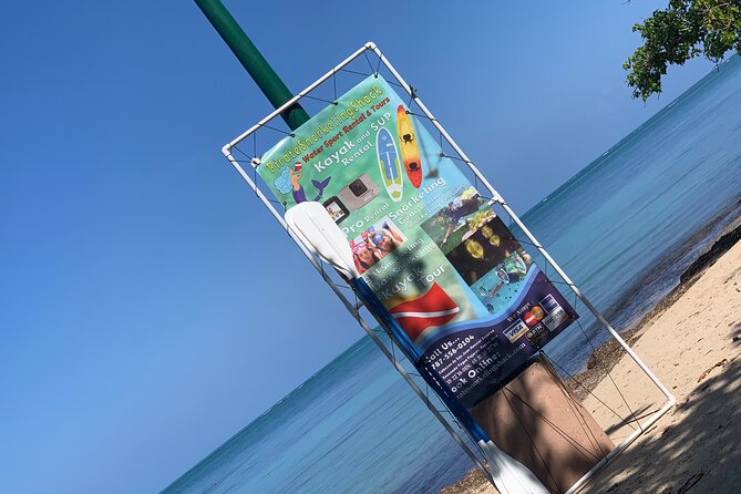 Snorkeling & Kayak Eco-Adventure in Puerto Rico - Snorkeling from the beach to nearby reef areas