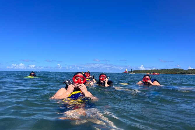 Snorkeling & Kayak Eco-Adventure in Puerto Rico - Who will enjoy this most?