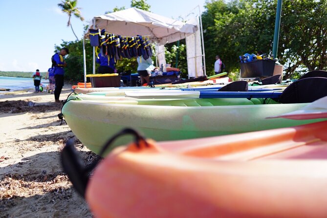 Snorkeling & Kayak Eco-Adventure in Puerto Rico - Weather, cancellations, and the practical fine print