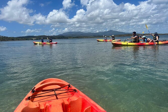 Snorkeling & Kayak Eco-Adventure in Puerto Rico - Should you book the Fajardo kayak and snorkel tour?