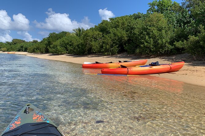 Snorkeling & Kayak Eco-Adventure in Puerto Rico - Is the $69 price good value?