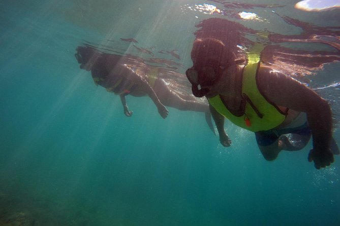 Snorkeling Lesson & Interactive Experience for Kids and Adults - Extra gear time until 4:30 pm