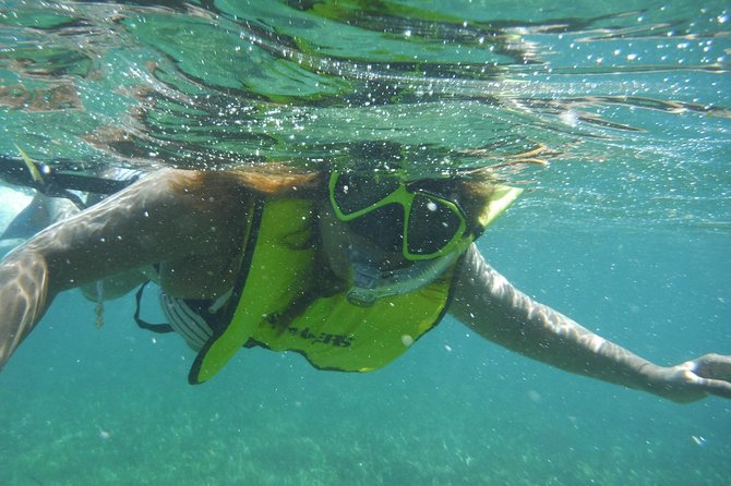 Snorkeling Lesson & Interactive Experience for Kids and Adults - What the $58 price really covers