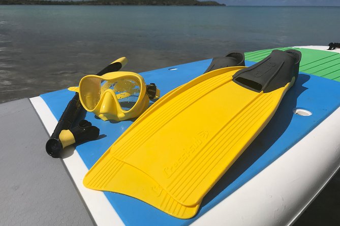 Snorkeling Lesson & Interactive Experience for Kids and Adults - The beach lesson makes the first minutes easier