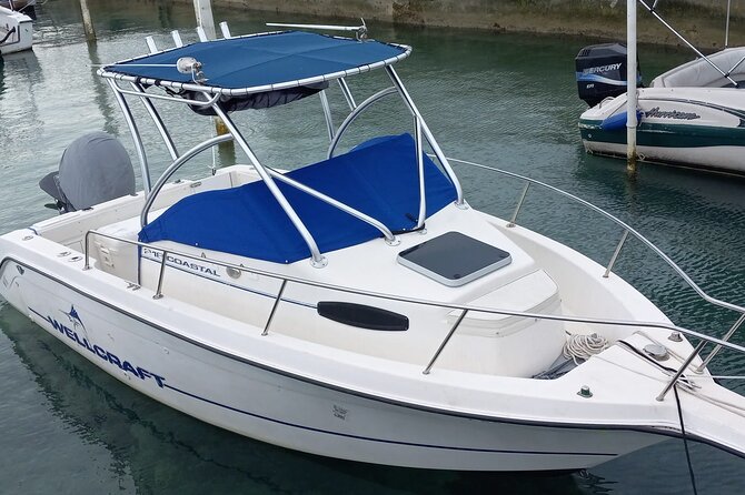Snorkeling, Swim with Turtles & Beach Day - Key points to know before you book