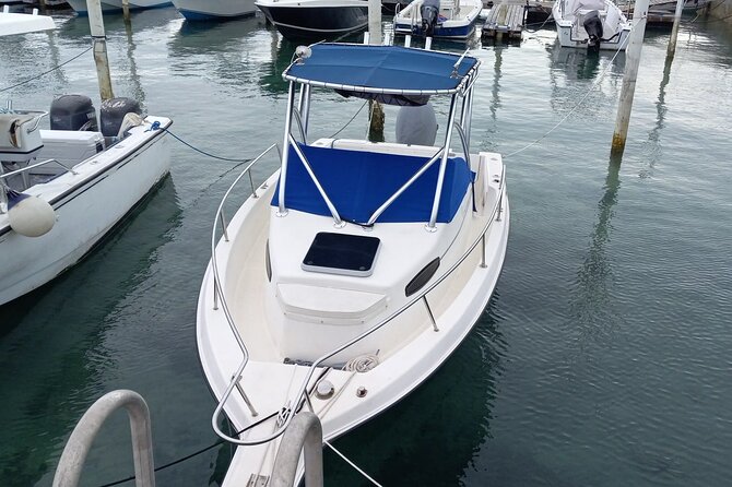 Snorkeling, Swim with Turtles & Beach Day - A private way to see Nassau from the water