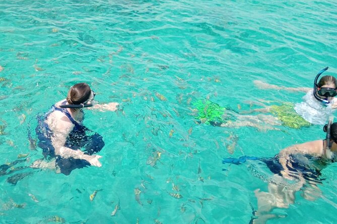 Snorkeling, Swim with Turtles & Beach Day - Who will enjoy this boat trip most