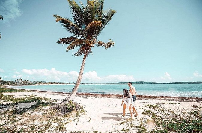 Snorkeling Tour to Vieques Island only 30 minutes away! - Snacks, drinks, and the real value of $134.92