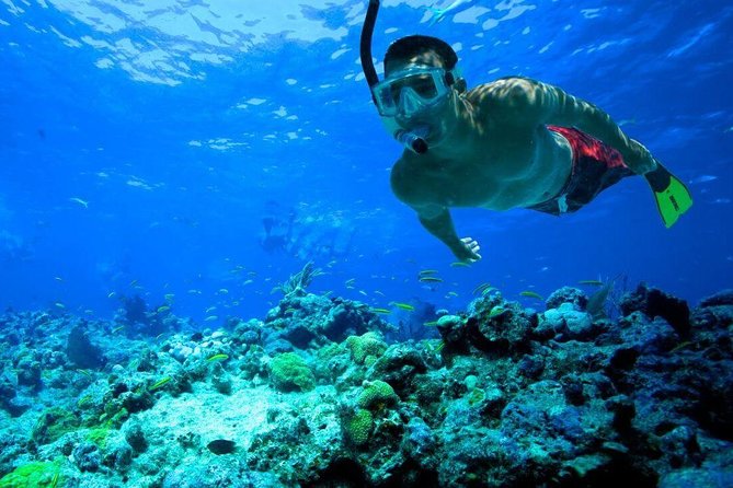 Snorkeling Tour to Vieques Island only 30 minutes away! - Who will enjoy this Vieques snorkeling trip