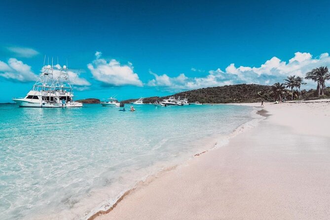 Snorkeling Tour to Vieques Island only 30 minutes away! - Snorkeling among turtles, rays, and reef fish