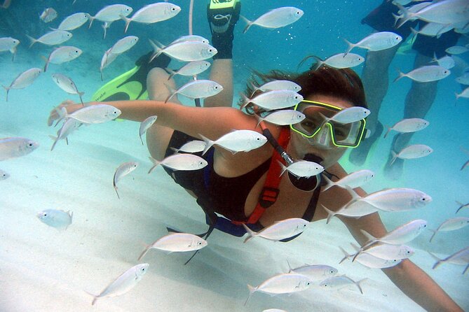 SNUBA Saint Lucia - Key points before you book