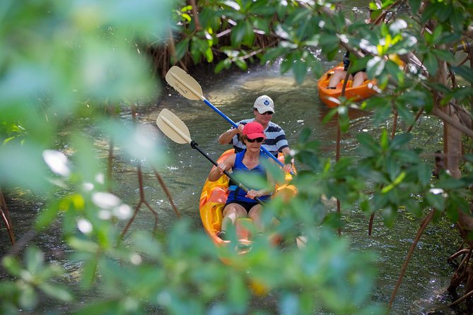 SoCoHo Eco Half Day - Mangrove Kayak & Reef Snorkeling - What happens when the sea turns rough