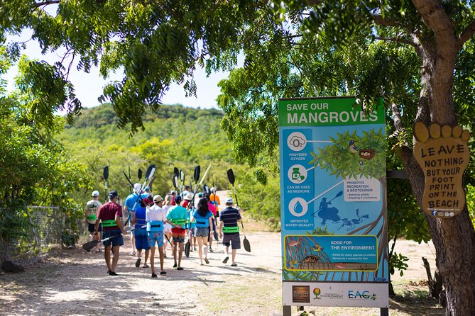 SoCoHo Eco Half Day - Mangrove Kayak & Reef Snorkeling - Guides who make the morning work