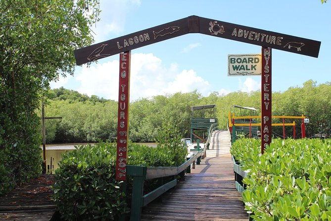 SoCoHo Eco Half Day - Mangrove Kayak & Reef Snorkeling - Who will enjoy this best