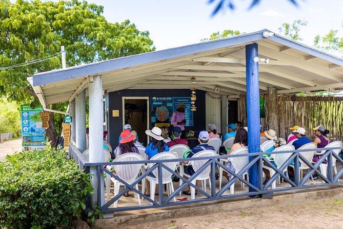 SoCoHo Eco Half Day - Mangrove Kayak & Reef Snorkeling - Practical details to make the day easier