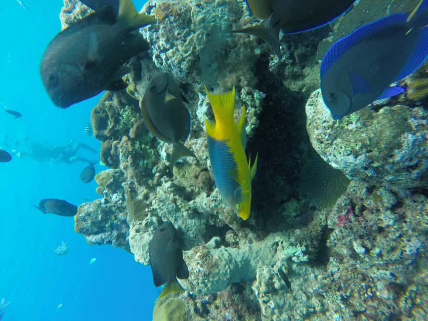 Sosua Catamaran Excursion - Sailing toward Ocean World Marina