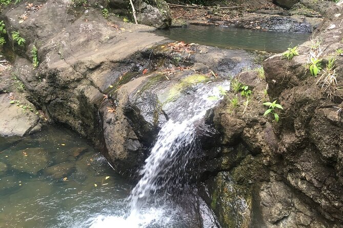 Soufriere Volcano Experience - A full day from Gros Islet to Soufriere