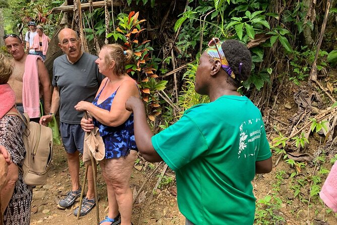 Soufriere Volcano Experience - The 15-minute walk to River Pool Waterfall