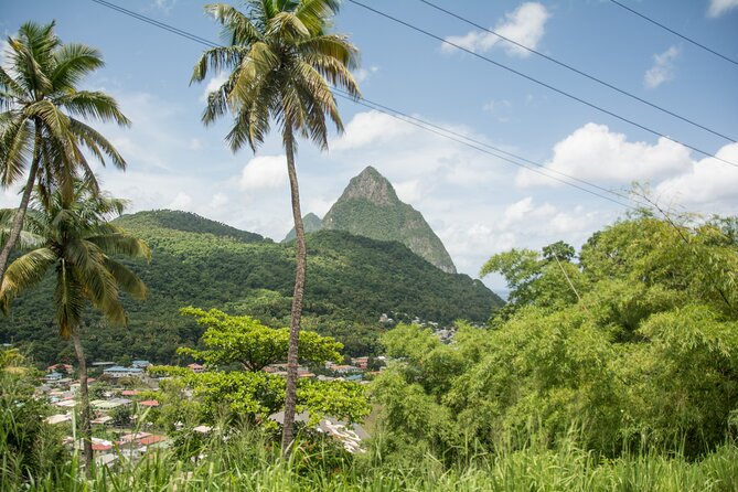 Soufriere Volcano Experience - The Soufriere mud bath and mineral springs