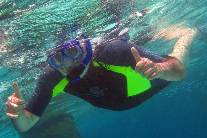 South island tour and Snorkel combo - What the guides add to the day