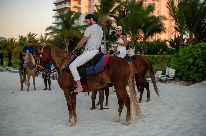 Spectacular Private Beach & Ocean Ride in Providenciales - Who will enjoy this ride most
