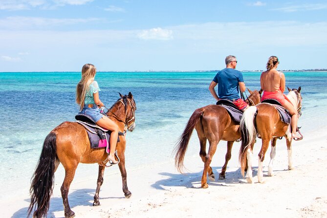 Spectacular Private Beach & Ocean Ride in Providenciales - Entering the ocean on horseback