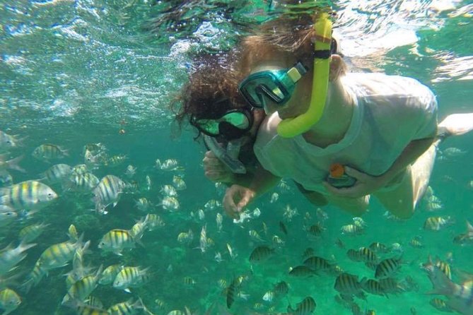Speed Boat and Snorkeling in Punta Cana Bavaro - Snorkeling at Bavaro Reef