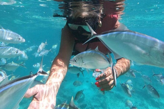 Speed Boat and Snorkeling in Punta Cana Bavaro - Weather, safety, and practical preparation