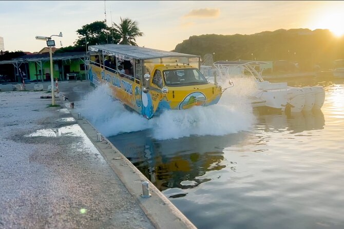 Splashy Iguana Tour in Curacao - Key points at a glance