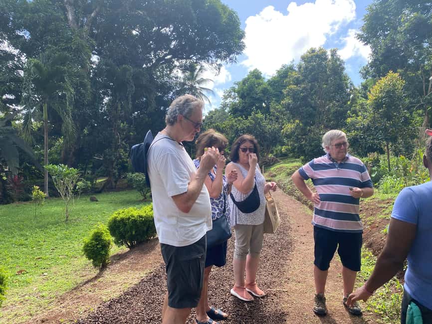 St. George's: Half-day spice and waterfall tour - Why a spice garden is the right start in Grenada