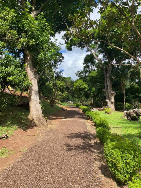 St. George's: Half-day spice and waterfall tour - Annandale Waterfall and the cool mountain pool