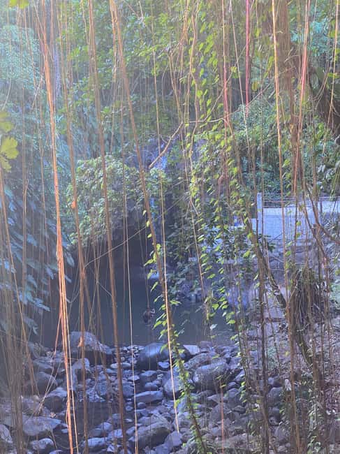 St. George's: Half-day spice and waterfall tour - Timing, pickup, and small practical details