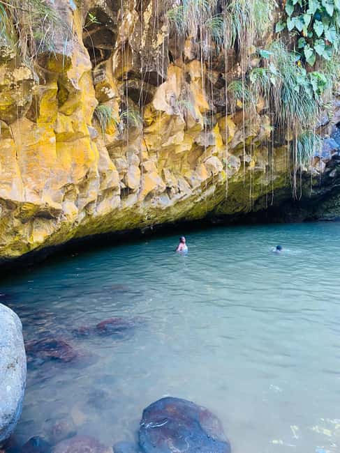 St. George's: Half-day spice and waterfall tour - Who will enjoy this half-day outing