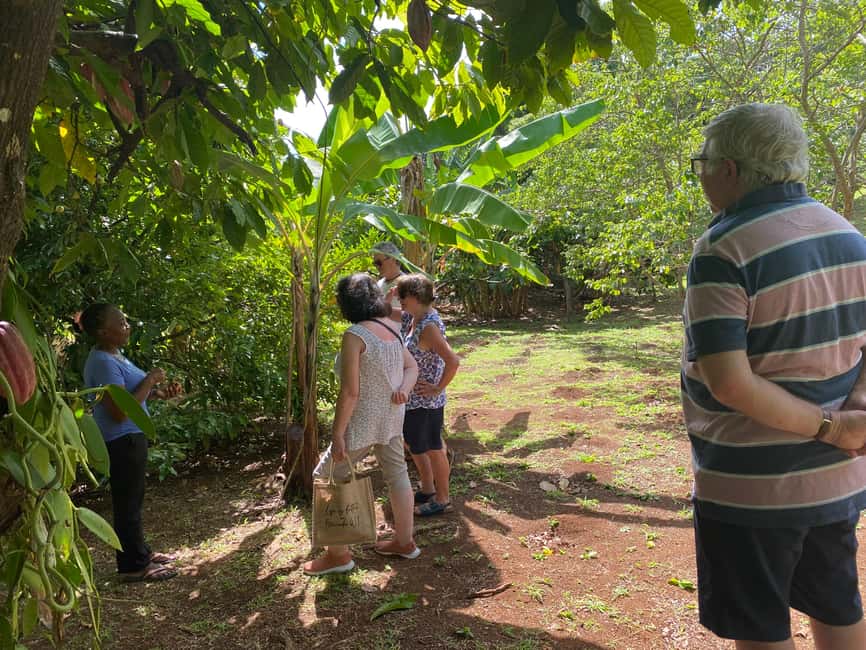 St. George's: Half-day spice and waterfall tour - The drive from St. George’s becomes part of the tour