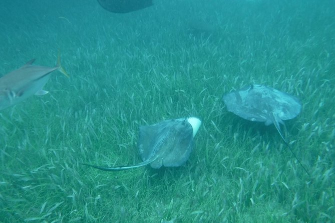 St John & Surrounding Cays - Full-Day Sail/Snorkel, 6 Guests Max - What the $245 price includes