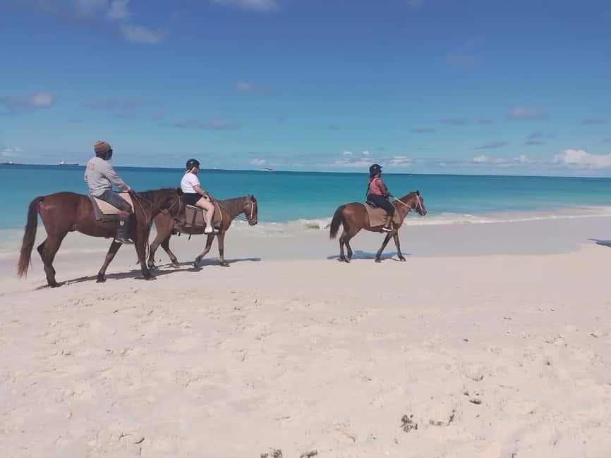 St. Johns: Horseback Riding Bareback Swim, &Fort James Beach - The Route Beyond the Beach
