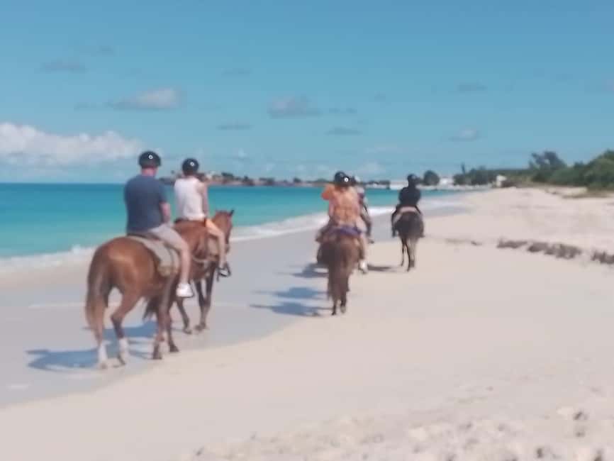 St. Johns: Horseback Riding Bareback Swim, &Fort James Beach - What to Pack and What to Leave Behind