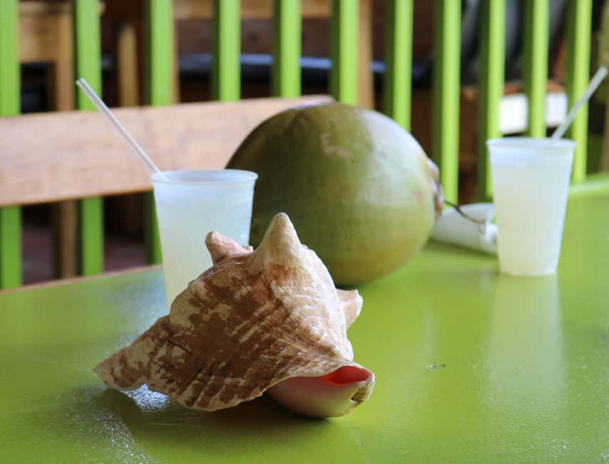 St. Kitts: Nevis Island Tour and Beach Time with Lunch - Crossing the Narrows from St. Kitts to Nevis
