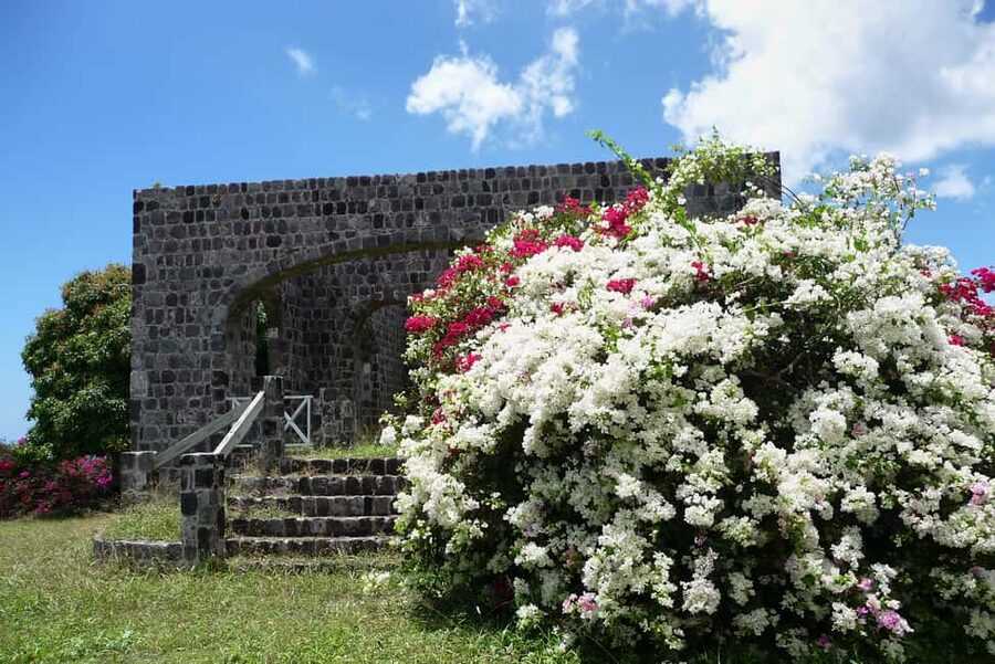 St. Kitts: Top Sights Guided Van or Open-Air Safari Tour - Why this tour works well for a short St. Kitts visit
