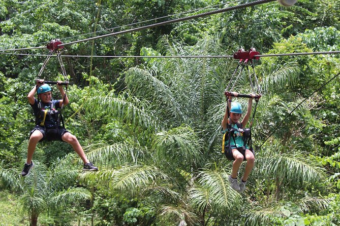 St. Kitts Zipline Experience - Key points to know before booking