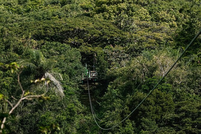 St. Kitts Zipline Experience - Line 1 gives you a proper introduction