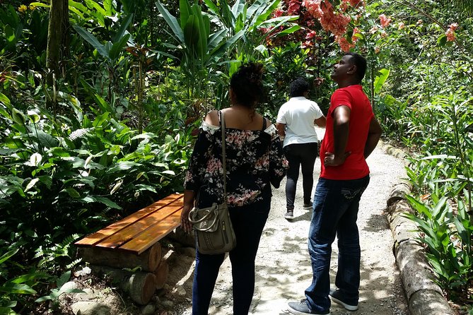 St Lucia Diamond Mineral and Mud Baths Plus Waterfall Adventure - Cooling off at Toraille Waterfall