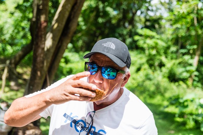 St Lucia Full-Day Catamaran Sightseeing Cruise With Snorkeling - Choosing between the Sulphur Springs and the volcano tour