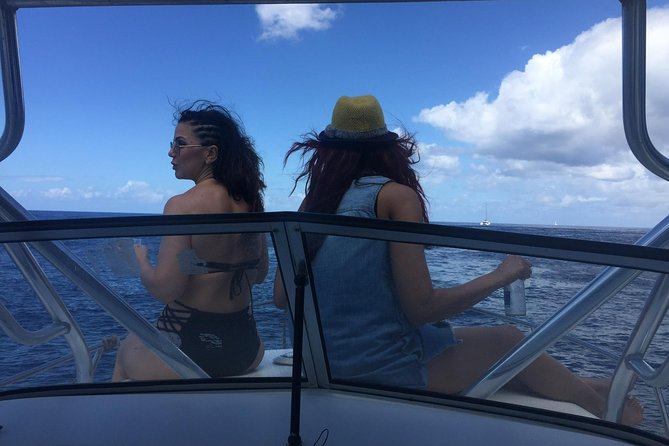 St. Lucia Private Boat Tour, Mud Bath, Waterfall & Beach Time - Lunch, Marigot Bay, and the flexible schedule