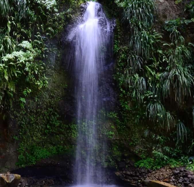 St. Lucia: Sulphur Springs Mud Bath and Toraille Waterfall - Who will enjoy this outing most?