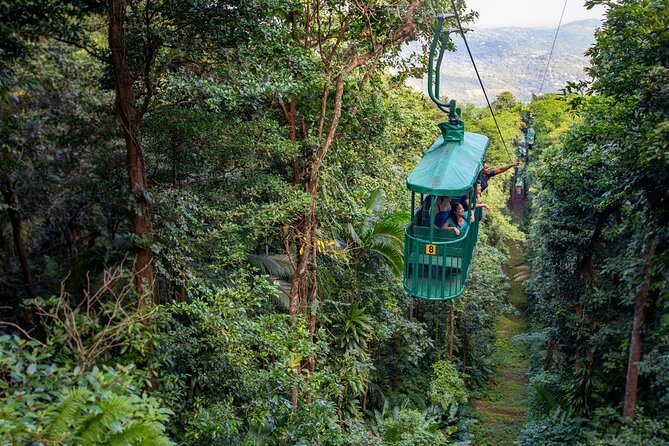St Lucia Ultimate 3: Aerial Tram, Zipline and Hiking at Rainforest Adventures - Quick facts about the rainforest adventure